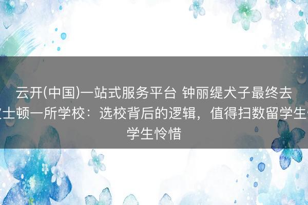 云开(中国)一站式服务平台 钟丽缇犬子最终去了波士顿一所学校：选校背后的逻辑，值得扫数留学生怜惜